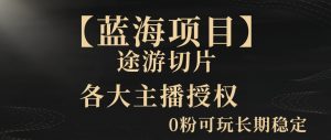 一天收入2000+,最新中视频创新玩法,用AI科技一键改唱影解说刷爆流量收益【揭秘】|淘骐网赚资源库