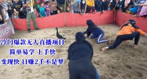 冷门爆款无人直播项目,简单易学上手快,变现快日赚2千不是梦【揭秘】|淘骐网赚资源库