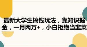 最新大学生搞钱玩法,靠知识掘金,一月两万+,小白拒绝当韭菜【揭秘】|淘骐网赚资源库