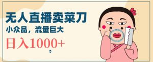无人冷门品直播新玩法,通过卖菜刀日入1000+【揭秘】|淘骐网赚资源库