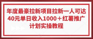 年度最豪拉新项目拉新一人可达40元单日收入1000+红薯推广计划实操教程【揭秘】|淘骐网赚资源库