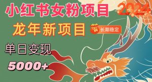 小红书女粉头像项目,单日变现5000+,适合在家做的副业,长期稳定【揭秘】|淘骐网赚资源库