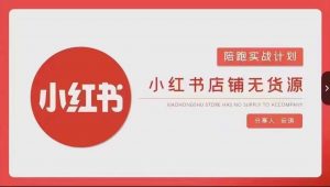 安琪-小红书店铺无货源实战,开店到售后全流程操作|淘骐网赚资源库
