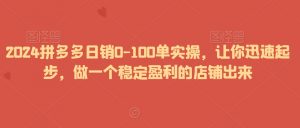 2024拼多多日销0-100单实操,让你迅速起步,做一个稳定盈利的店铺出来|淘骐网赚资源库