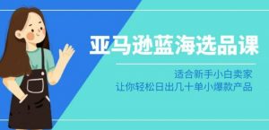 亚马逊-蓝海选品课:适合新手小白卖家,让你轻松日出几十单小爆款产品|淘骐网赚资源库