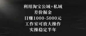 利用淘宝公域+私域差价掘金，日赚1000-5000元，工作室可放大操作，实操稳定半年【揭秘】|淘骐网赚资源库