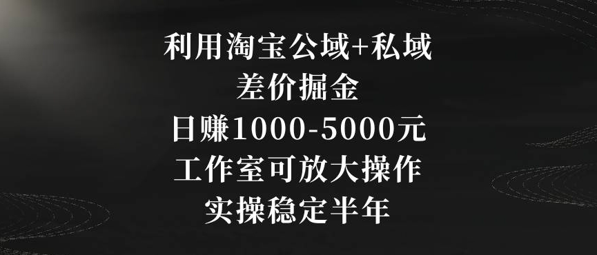 利用淘宝公域+私域差价掘金,日赚1000-5000元,工作室可放大操作,实操稳定半年【揭秘】|淘骐网赚资源库