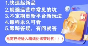 文西电商课程，规避运营中常见的坑|淘骐网赚资源库