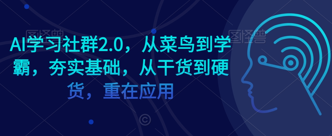 AI学习社群2.0，从菜鸟到学霸，夯实基础，从干货到硬货，重在应用|淘骐网赚资源库