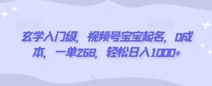 玄学入门级，视频号宝宝起名，0成本，一单268，轻松日入1000+【揭秘】|淘骐网赚资源库