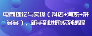 电商理论与实操(抖店+淘系+拼多多),新手到进阶系列课程|淘骐网赚资源库