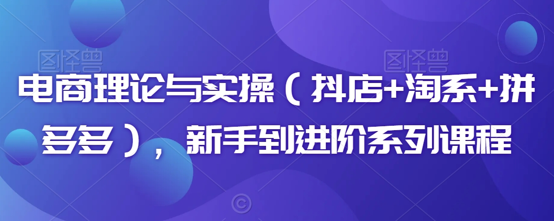 电商理论与实操（抖店+淘系+拼多多），新手到进阶系列课程|淘骐网赚资源库