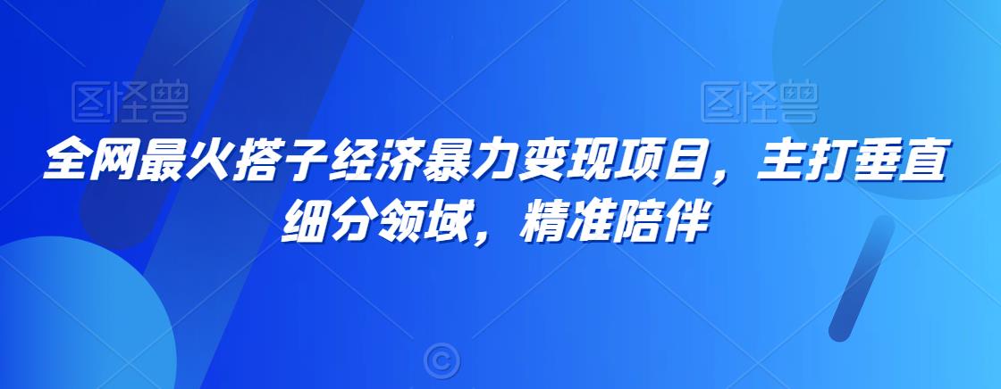 全网最火搭子经济暴力变现项目，主打垂直细分领域，精准陪伴【揭秘】|淘骐网赚资源库