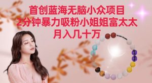 首创蓝海无脑小众项目，2分钟暴力吸粉小姐姐富太太，月入几十万【揭秘】|淘骐网赚资源库