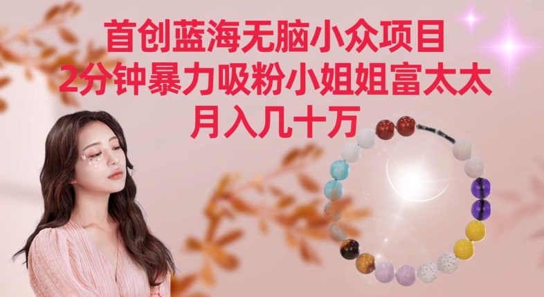 首创蓝海无脑小众项目,2分钟暴力吸粉小姐姐富太太,月入几十万【揭秘】|淘骐网赚资源库