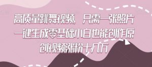 高质量跳舞视频，只需一张照片一键生成零基础小白也能创作原创视频涨粉十几万【揭秘】|淘骐网赚资源库