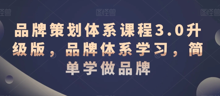 品牌策划体系课程3.0升级版,品牌体系学习,简单学做品牌|淘骐网赚资源库
