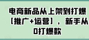 电商新品从上架到打爆【推广+运营】，新手从0打爆款|淘骐网赚资源库