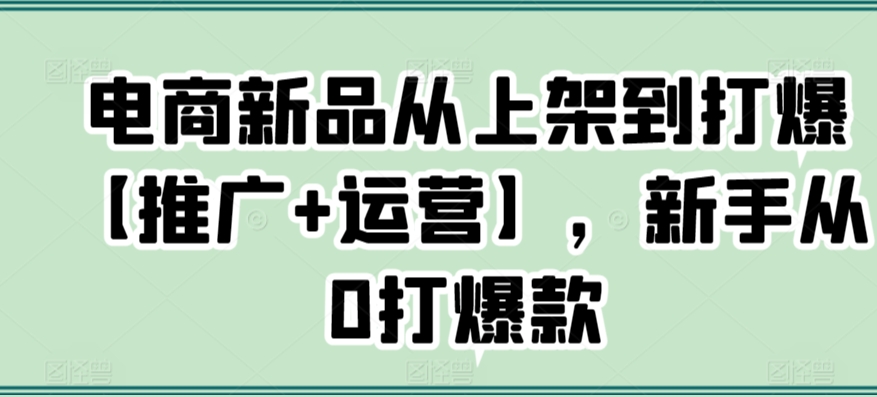 电商新品从上架到打爆【推广+运营】，新手从0打爆款|淘骐网赚资源库
