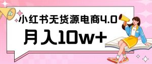 小红书新电商实战,无货源实操从0到1月入10w+联合抖音放大收益【揭秘】|淘骐网赚资源库