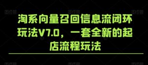 淘系向量召回信息流闭环玩法V7.0,一套全新的起店流程玩法|淘骐网赚资源库