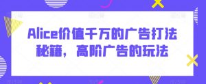 Alice价值千万的广告打法秘籍，高阶广告的玩法|淘骐网赚资源库
