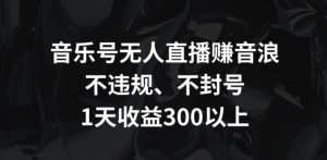 音乐号无人直播赚音浪，不违规、不封号，1天收益300+【揭秘】|淘骐网赚资源库