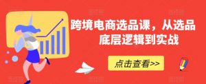 跨境电商选品课，从选品到底层逻辑到实战|淘骐网赚资源库