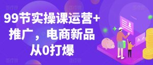 99节实操课运营+推广,电商新品从0打爆|淘骐网赚资源库