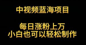 中视频蓝海项目，解读英雄人物生平，每日涨粉上万，小白也可以轻松制作，月入过万不是梦【揭秘】|淘骐网赚资源库