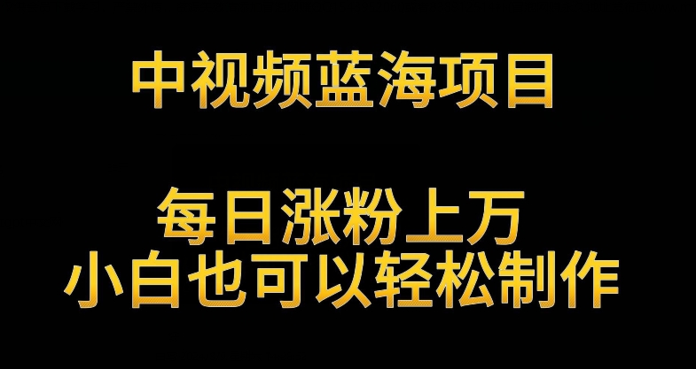 中视频蓝海项目,解读英雄人物生平,每日涨粉上万,小白也可以轻松制作,月入过万不是梦【揭秘】|淘骐网赚资源库
