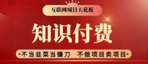 2024互联网项目天花板,新手小白也可以通过知识付费月入10W,实现财富自由【揭秘】|淘骐网赚资源库