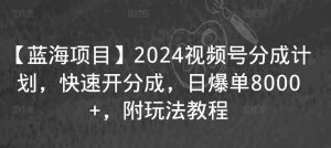 【蓝海项目】2024视频号分成计划，快速开分成，日爆单8000+，附玩法教程|淘骐网赚资源库