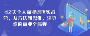42天个人商业闭环实战营,从方法到思维,建立你的商业全局观|淘骐网赚资源库