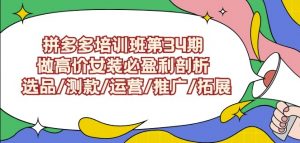 拼多多培训班第34期：做高价女装必盈利剖析选品/测款/运营/推广/拓展|淘骐网赚资源库