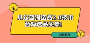 拼多多培训第33期:小众蓝海选品2.0技术-蓝海选品实操!|淘骐网赚资源库