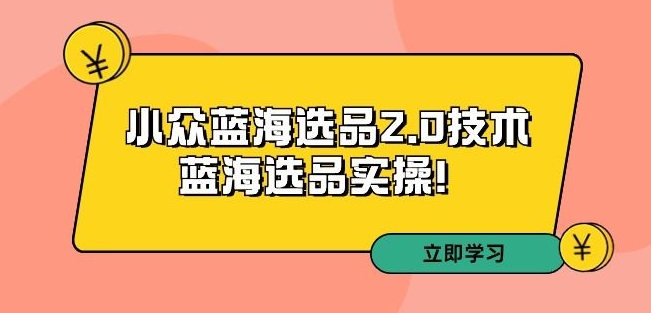 拼多多培训第33期:小众蓝海选品2.0技术-蓝海选品实操!|淘骐网赚资源库