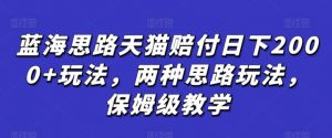 蓝海思路天猫赔付日下2000+玩法，两种思路玩法，保姆级教学【仅揭秘】|淘骐网赚资源库
