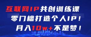 互联网IP共创训练课,零门槛零基础打造个人IP,月入10w+不是梦【揭秘】|淘骐网赚资源库