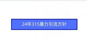 24年315暴力引流方针|淘骐网赚资源库