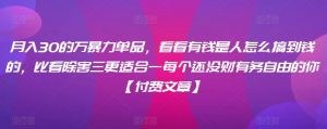 月入30的万暴力单品,看看有钱是人怎么搞到钱的,比看除害三更适合一每个还没财有务自由的你【付费文章】|淘骐网赚资源库