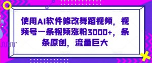 使用AI软件修改舞蹈视频,视频号一条视频涨粉3000+,条条原创,流量巨大【揭秘】|淘骐网赚资源库
