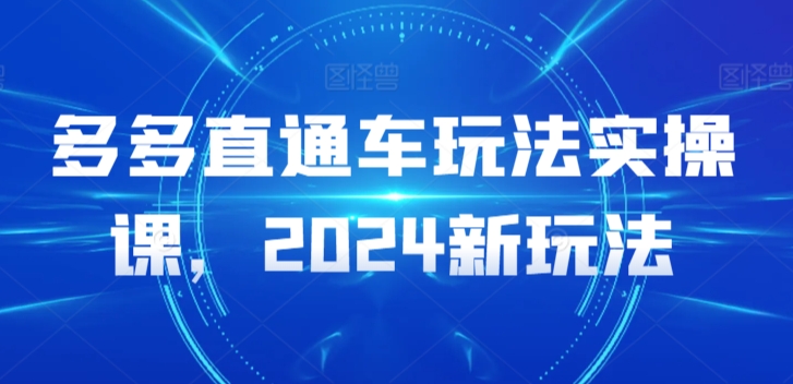 多多直通车玩法实操课,2024新玩法|淘骐网赚资源库