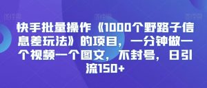 快手批量操作《1000个野路子信息差玩法》的项目，一分钟做一个视频一个图文，不封号，日引流150+【揭秘】|淘骐网赚资源库