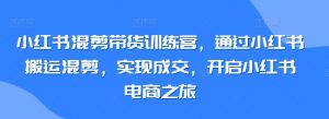 小红书混剪带货训练营,通过小红书搬运混剪,实现成交,开启小红书电商之旅|淘骐网赚资源库