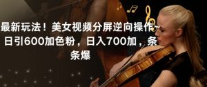 最新玩法!美女视频分屏逆向操作~日引600加色粉,日入700加,条条爆【揭秘】|淘骐网赚资源库