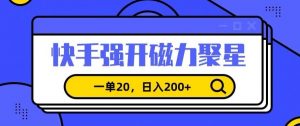 信息差赚钱项目，快手强开磁力聚星，一单20，日入200+【揭秘】|淘骐网赚资源库