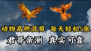 动物超燃混剪，每天轻松5张，剪辑简单大家爱看【揭秘】|淘骐网赚资源库