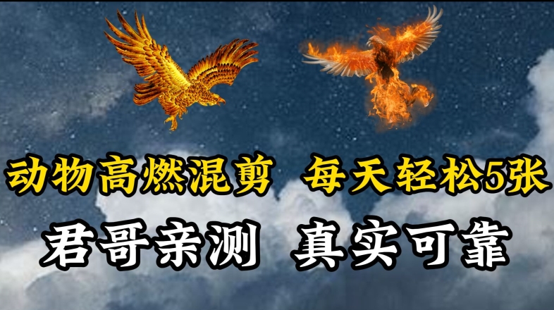 动物超燃混剪，每天轻松5张，剪辑简单大家爱看【揭秘】|淘骐网赚资源库