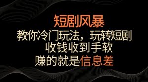 短剧风暴,教你冷门玩法,玩转短剧,收钱收到手软【揭秘】|淘骐网赚资源库